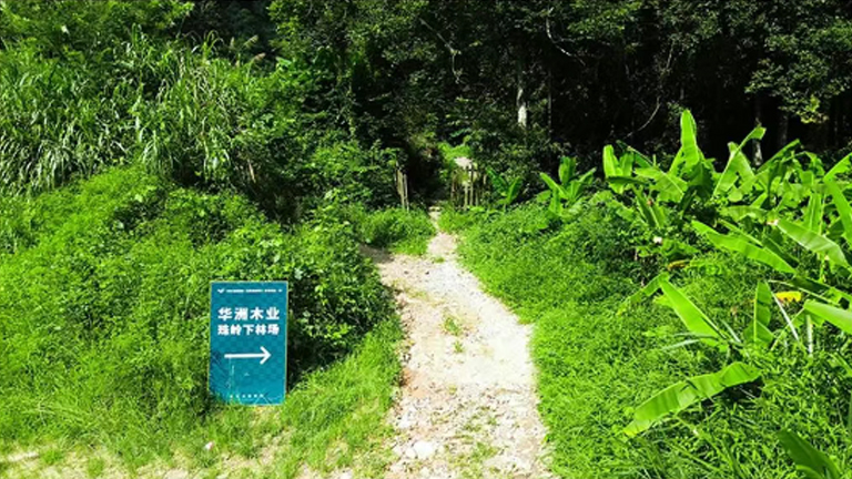官网2.jpg